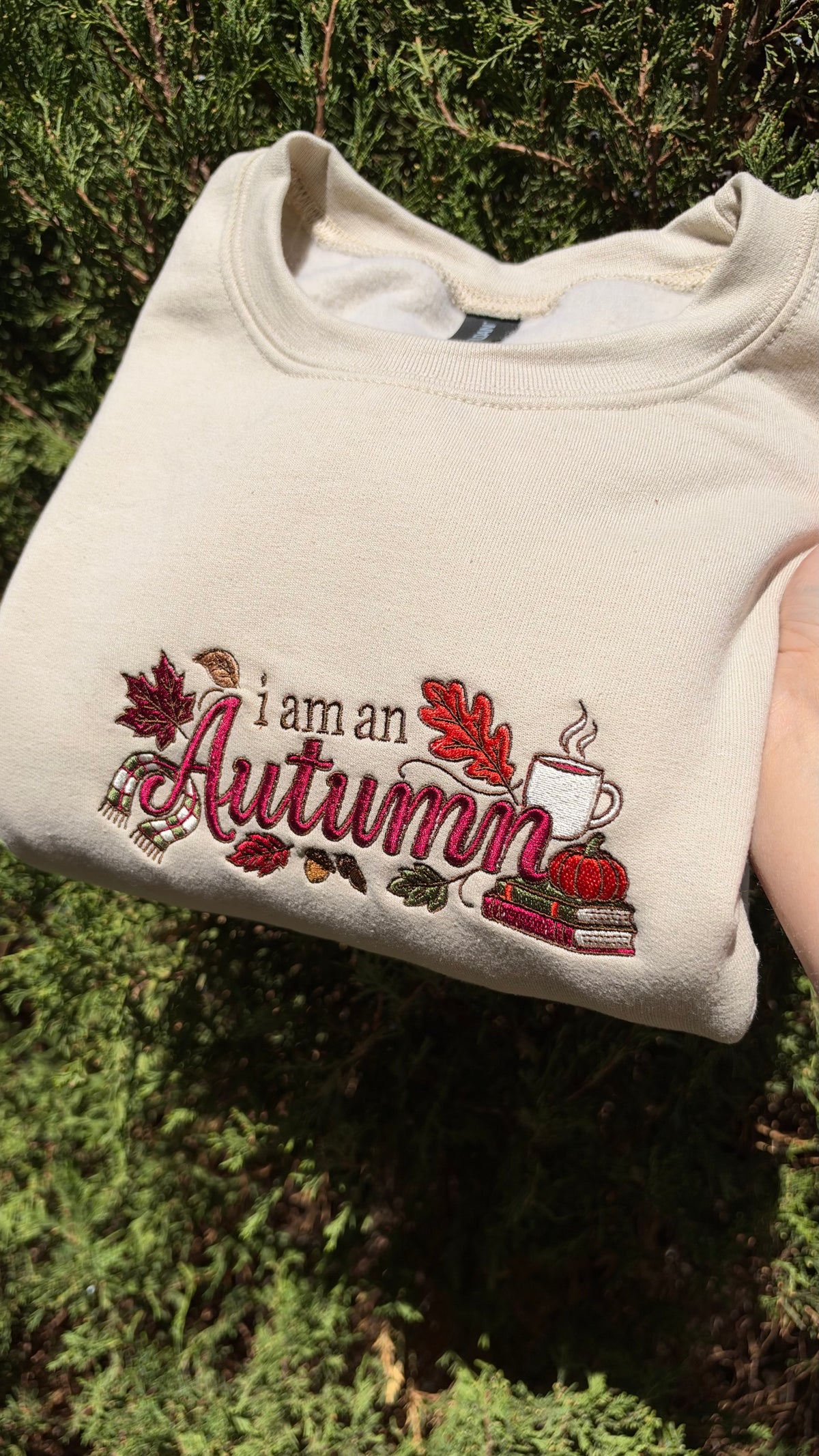 I Am An Autumn Embroidered Crewneck Sweater